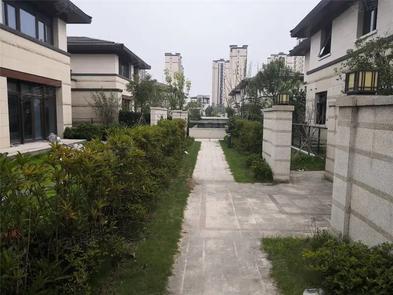 别墅热装楼盘天逸湾二期